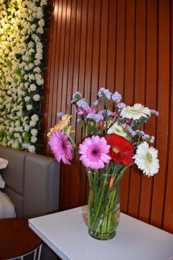 Hotel Ergi'S دراس المظهر الخارجي الصورة